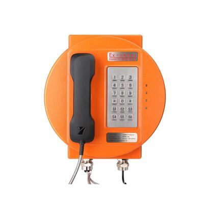 Buy Outdoor Public Call Station Analog Explosion-Proof Telephone with IP66 Protection, Stainless Steel Keypad, and 30W Built-in Amplifier online manufacture